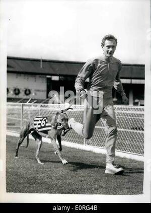 8. August 1959 - haben Brian Hewson Uhren sein Greyhound den ersten Versuch; Brian Hewson, einer der britischen Top-Athleten, ging in die weiße Stadt, wo er gegen Polen an diesem Wochenende läuft zu beobachten, seine vor kurzem gekauft Greyhound '' Clonavly Romantik '' haben es ist die erste Studie, die es in 30,31 Sekunden gewann. Foto zeigt Brian Hewson mit seinem Greyhound '' Clonavly Romantik '' gesehen Trab Runden heute die Strecke in White City. Stockfoto