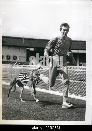 8. August 1959 - Uhren Brian Hewson sein Greyhound erste Testversion haben; Brian Hewson, einer der britischen Top-Athleten, ging in die weiße Stadt, wo er gegen Polen in dieser Woche Ende läuft zu beobachten, seine vor kurzem gekauft Greyhound '' Clonavly Romantik '' haben es ist die erste Studie, die es in 30,31 Sekunden gewann. Foto zeigt Brian Hewson mit seinem Greyhound '' Clonavly Romantik '' jeder Trabrennen Roung heute die Strecke in White City. Stockfoto