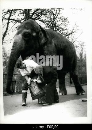 30. November 1959 - verwendet Schuhmacher Wilfred Hunter '' Rusty'' als ein Modell. Stiefel für einen Elefanten. Wie für Größe?: Doncaster Schuhmacher Wilfred Hunter erhielt vor kurzem einen ungewöhnlichen Auftrag - es war ein Satz von vier Stiefel - für einen Elefanten. Der Auftrag kam von einem indischen Potetate - und die Stiefel sind für das Tragen von einem Elefanten bei zeremoniellen Gelegenheiten. Heute besuchte Herr Hunter den Londoner Zoo - angepasst, die erste der Stiefel auf "Rusty", die er als Stand - in für den Elefanten in Indien gebraucht. Foto zeigt Herr Wilfred Jäger auf die ersten Stiefel auf '' Rusty'' im London Zoo heute Morgen versucht. Stockfoto