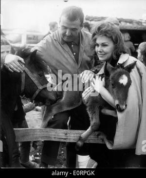 Schauspielerin Kim Novak streicheln ein Stutfohlen Stockfoto