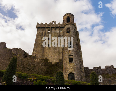 Blarney Castle im County Cork, Irland - Blick auf den alten Turm Stockfoto