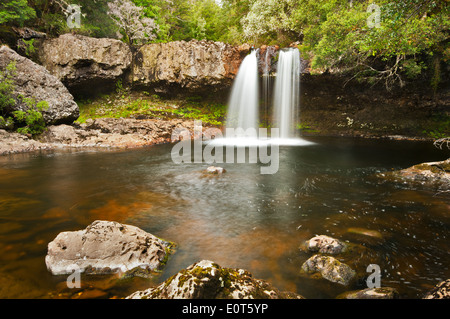 Knyvet fällt im Cradle Mountain National Park. Stockfoto