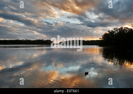 Sonnenuntergänge auf Myall Lake. Stockfoto