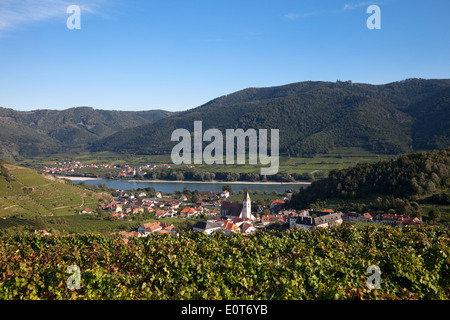 Weinberge in Spitz/Donau, Österreich, Niederösterreich, Wachau - Weinberge in Spitz/Donau, Österreich, Niederösterreich, Wachau Stockfoto