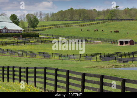 Reiterhof mit Fechten, in West Charlton, Saratoga County, Bundesstaat New York Stockfoto