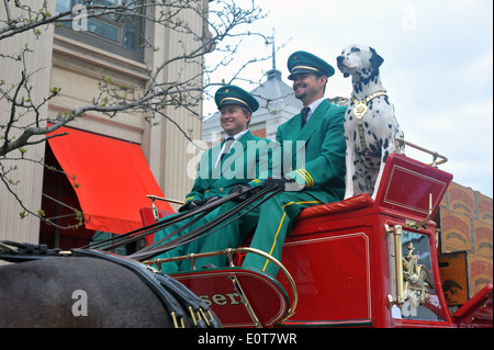 Die Budweiser Clydesdales anzeigen Team bei den Memorial Cup-Eishockey-Turnier in London Ontario im Jahr 2014. Stockfoto