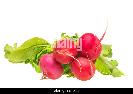 Handvoll frische Radieschen auf weißem Hintergrund Stockfoto
