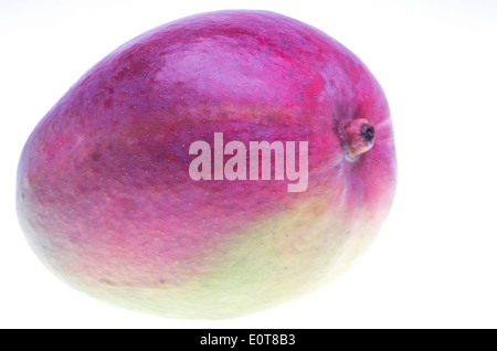 Mango-Frucht isoliert auf weißem Hintergrund Stockfoto
