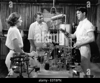 Barbara Stanwyck, Jean Hersholt, Robert Taylor, am Set des Films "Der Frau seines Bruders", 1936 Stockfoto