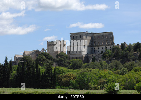 Montmajour Abtei in der Nähe von Arles. Arles. Bouches-du-Rhône. Der Provence. Frankreich Stockfoto