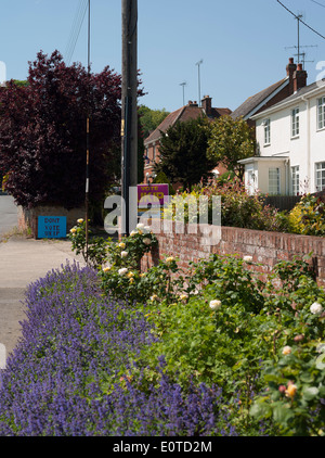 Stimmen Sie, dass die UKIP und DONT Abstimmung UKIP Wahl Zeichen in der gleichen Straße aufgestellt Stockfoto