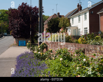 Stimmen Sie, dass die UKIP und DONT Abstimmung UKIP Wahl Zeichen in der gleichen Straße aufgestellt Stockfoto