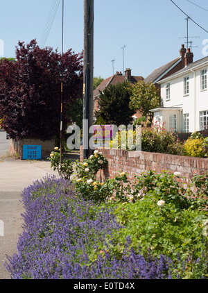 Stimmen Sie, dass die UKIP und DONT Abstimmung UKIP Wahl Zeichen in der gleichen Straße aufgestellt Stockfoto