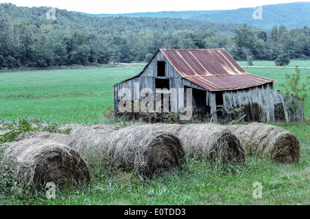 Letzte Saison Rollen Ballen Heu und eine verlassenen Scheune mit einem rostigen Dach sind Bestandteil der bukolischen Landschaft der Ozark Mountains im ländlichen Arkansas, USA. Stockfoto