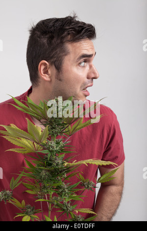 Porträt von Angst Mann, der Cannabis-Pflanze. Stockfoto