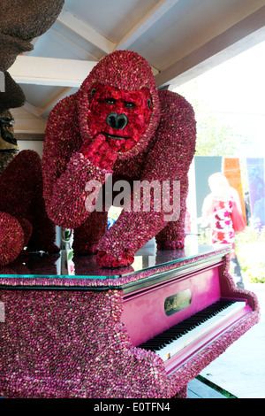 Flora, Damaszener rose Gorilla entworfen von Flora Jackson auf RHS Chelsea Flower Show 2014 Stockfoto