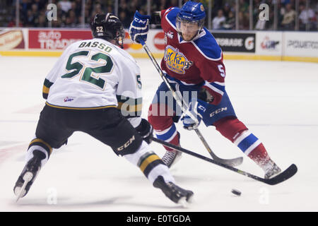 London, Ontario, Kanada. 18. Mai 2014. Ashton Sautner von Edmonton Oil Kings sieht London Knights Verteidiger Alex Basso während ihr Spiel bei den Memorial Cup in London Ontario am 19. Mai 2014 vorbeizukommen. Edmonton besiegten Ritter 5-2 Verbesserung ihren Rekord auf 1-1, während die Host-Ritter auf 0-2 fallen. Bildnachweis: Mark Spowart/Alamy Live-Nachrichten Stockfoto