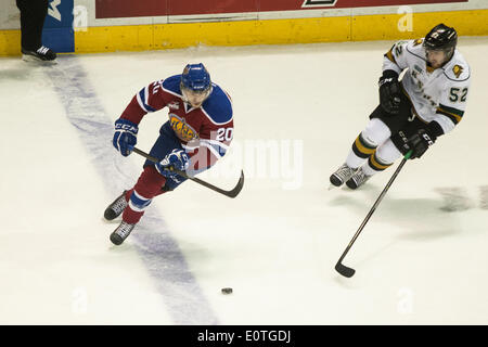 London, Ontario, Kanada. 18. Mai 2014. Mads Eller (20) der Edmonton Oil Kings Zyklen den Puck, während Alex Basso von den London Knights ihn Drücke, die Zone um den Memorial Cup in London Ontario am 19. Mai 2014 zu löschen. Edmonton besiegten Ritter 5-2 Verbesserung ihren Rekord auf 1-1, während die Host-Ritter auf 0-2 fallen. Bildnachweis: Mark Spowart/Alamy Live-Nachrichten Stockfoto