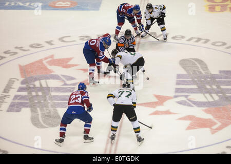 London, Ontario, Kanada. 18. Mai 2014. Öffnen Gesicht der zweiten Periode zwischen den London Knights (weiß) und Edmonton Oil Kings beim Memorial Cup in London Ontario, am 19. Mai 2014. Edmonton besiegten Ritter 5-2 Verbesserung ihren Rekord auf 1-1, während die Host-Ritter auf 0-2 fallen. Bildnachweis: Mark Spowart/Alamy Live-Nachrichten Stockfoto