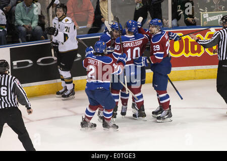 London, Ontario, Kanada. 18. Mai 2014. Mitglieder von Edmonton Oil Kings feiern nach ein Tor in der Scond Zeit gegen den London Knights bei den Memorial Cup in London Ontario am 19. Mai 2014. Edmonton besiegten Ritter 5-2 Verbesserung ihren Rekord auf 1-1, während die Host-Ritter auf 0-2 fallen. Bildnachweis: Mark Spowart/Alamy Live-Nachrichten Stockfoto