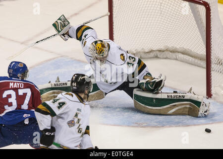 London, Ontario, Kanada. 18. Mai 2014. London Knights Torwart Anthony Stolarz blockt in der zweiten Periode von ihrem Spiel gegen Edmonton Oil Kings bei den Memorial Cup in London Ontario am 19. Mai 2014. Edmonton besiegten Ritter 5-2 Verbesserung ihren Rekord auf 1-1, während die Host-Ritter auf 0-2 fallen. Bildnachweis: Mark Spowart/Alamy Live-Nachrichten Stockfoto