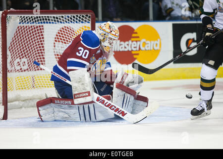 London, Ontario, Kanada. 18. Mai 2014. Edmonton Oil King Torwart Jarry Tristan folgt den Puck nach verdienen eine speichern in der dritten Periode ihres Spiels an den Memorial Cup in London Ontario im 19. Mai 2014. Edmonton besiegten Ritter 5-2 Verbesserung ihren Rekord auf 1-1, während die Host-Ritter auf 0-2 fallen. Bildnachweis: Mark Spowart/Alamy Live-Nachrichten Stockfoto