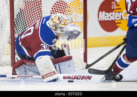 London, Ontario, Kanada. 18. Mai 2014. Edmonton Oil King Torwart Jarry Tristan folgt den Puck nach verdienen eine speichern in der dritten Periode ihres Spiels an den Memorial Cup in London Ontario im 19. Mai 2014. Edmonton besiegten Ritter 5-2 Verbesserung ihren Rekord auf 1-1, während die Host-Ritter auf 0-2 fallen. Bildnachweis: Mark Spowart/Alamy Live-Nachrichten Stockfoto