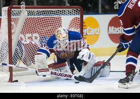 London, Ontario, Kanada. 18. Mai 2014. Edmonton Oil King Torwart Jarry Tristan folgt den Puck nach verdienen eine speichern in der dritten Periode ihres Spiels an den Memorial Cup in London Ontario im 19. Mai 2014. Edmonton besiegten Ritter 5-2 Verbesserung ihren Rekord auf 1-1, während die Host-Ritter auf 0-2 fallen. Bildnachweis: Mark Spowart/Alamy Live-Nachrichten Stockfoto