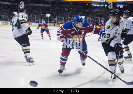 London, Ontario, Kanada. 18. Mai 2014. London Knights vorwärts Mitchell Marner (93) versucht, Riley Kieser (14) von Edmonton Oil Kings am Memorial Cup in London Ontario, am 19. Mai 2014 zu entziehen. Edmonton besiegten Ritter 5-2 Verbesserung ihren Rekord auf 1-1, während die Host-Ritter auf 0-2 fallen. Bildnachweis: Mark Spowart/Alamy Live-Nachrichten Stockfoto