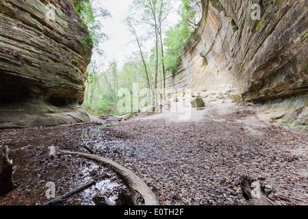 großen Sandsteinfelsen mit Felsen, die in der Vergangenheit verwandelt sich in Pulver auf dem Boden, St Louis State Park Illinois gefallen sind Stockfoto