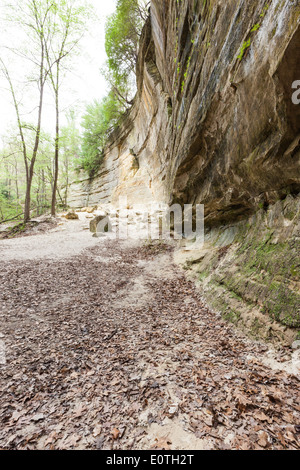 großen Sandsteinfelsen mit Felsen, die in der Vergangenheit verwandelt sich in Pulver auf dem Boden, St Louis State Park Illinois gefallen sind Stockfoto