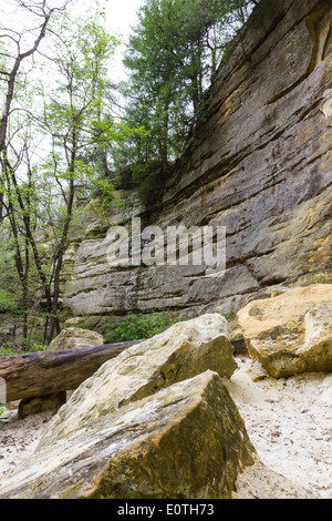 großen Sandsteinfelsen mit Felsen, die in der Vergangenheit verwandelt sich in Pulver auf dem Boden, St Louis State Park Illinois gefallen sind Stockfoto