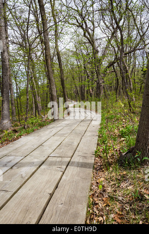 Holzweg Kennzeichnung einen Wanderweg in den ausgehungerten Rock State Park in Illinois Stockfoto