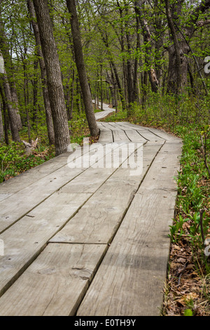 Holzweg Kennzeichnung einen Wanderweg in den ausgehungerten Rock State Park in Illinois Stockfoto