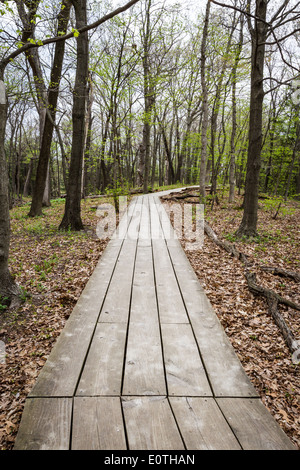 Holzweg Kennzeichnung einen Wanderweg in den ausgehungerten Rock State Park in Illinois Stockfoto