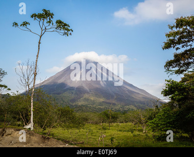 Leise aktiven Vulkan Arenal mit einem leichten Deckelung der Pyrocumuli Wolke im Abendlicht - La Fortuna-Costa Rica Stockfoto