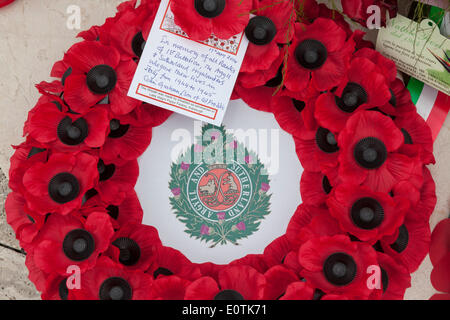 Mohn Kranz platziert im Auftrag von Argyll und Sutherland Highlanders-Regiment bei der Commonwealth Soldatenfriedhof in Cassino in Italien Stockfoto