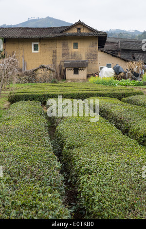 traditionelle Hakka Lehmhäuser in der chinesischen Provinz Fujian. als UNESCO-Weltkulturerbe eingestuft. Stockfoto