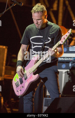 New Orleans, Louisiana, USA. 1. November 2013. Bassist JEFF AMENT von Pearl Jam tritt bei den 2013 Voodoo Musik und Kunst-Erlebnis in New Orleans, Louisiana © Daniel DeSlover/ZUMAPRESS.com/Alamy Live-Nachrichten Stockfoto