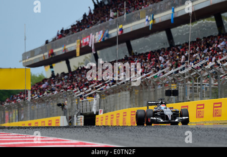 Formel 1 Grand Prix von Spanien 2014---Adrian Sutil (GER), Sauber C33 Stockfoto
