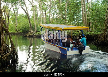 Gri Gri Lagune, in der Nähe des Fischers Dorf von Rio San Juan. Stockfoto