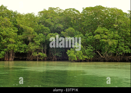 Gri Gri Lagune, in der Nähe des Fischers Dorf von Rio San Juan. Stockfoto