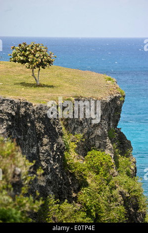 Im Bild: Robert Trent Jones - gestaltete 18 Loch Golfplatz. Der Playa Grande Stockfoto