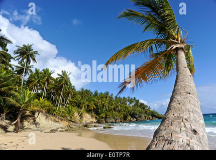 Der Playa Grande - Cabrera Bereich ab ca. 120 km östlich von Puerto Plata Stockfoto