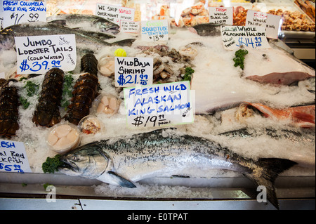 Ein frischer Alaska King Wildlachs erscheint City Fish Co. am Pike Place Market in Seattle. Stockfoto