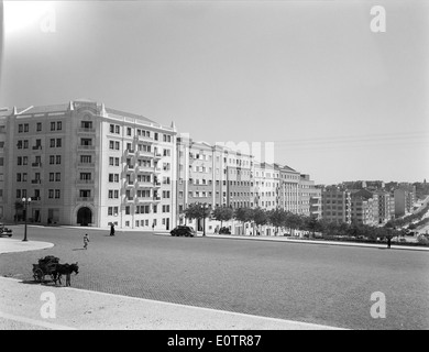 Alameda Dom Afonso Henriques, Lissabon, Portugal Stockfoto