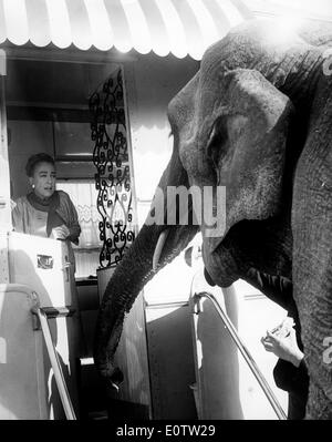Schauspielerin Joan Crawford erschrocken von einem Elefanten vor ihrer Tür Stockfoto