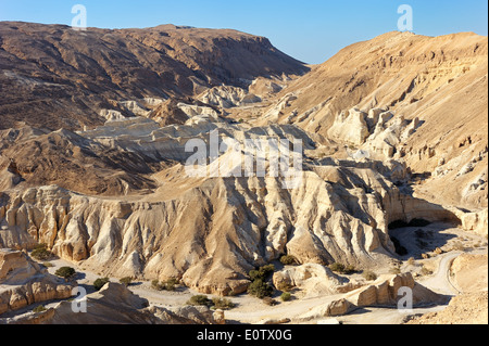 Landschaft Judäische Wüste, in der Nähe des Toten Meeres Stockfoto