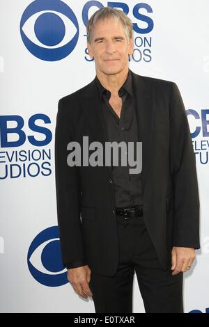 Los Angeles, Kalifornien, USA. 19. Mai 2014.  CBS TV Studios Sommerfest Soiree statt im The London Hotel am 19. Mai 2014 in West Hollywood, Kalifornien, USA. Bildnachweis: TLeopold/Globe Photos/ZUMAPRESS.com/Alamy Live-Nachrichten Stockfoto