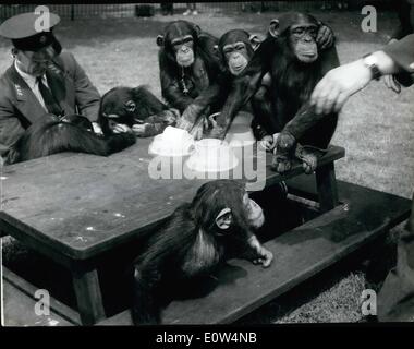 6. Juni 1961 - Proben die Zoo-Schimpansen ihre berühmte Teeparty: Eine Generalprobe fand heute Morgen im London Zoo - für die berühmten Schimpansen Tea Party - statt, die täglich auf dem Hauptrasen stattfinden soll. Fotoshows: Allgemeine anzeigen, wie die Schimpansen ihre '' Tea Party'' Probe heute haben. Stockfoto